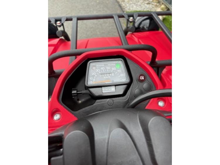 YAMAHA 350 grizzly 